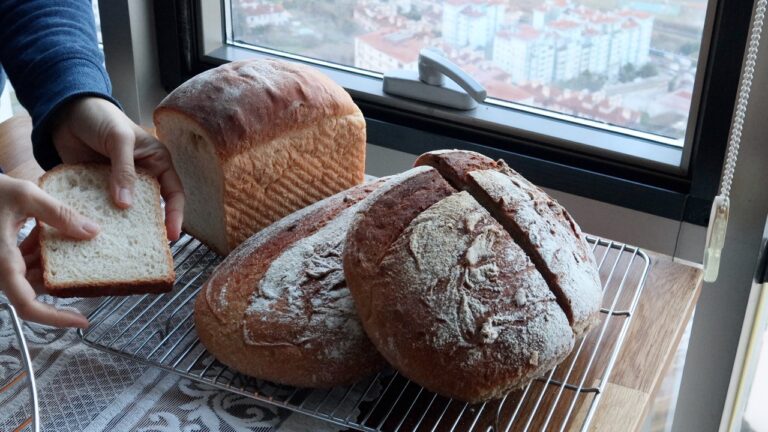 Homemade Sourdough Bread: A Guide to Bread